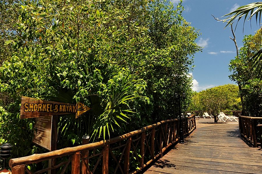 Bel Air Collection Resort & Spa Riviera Maya Xpu Ha Εξωτερικό φωτογραφία